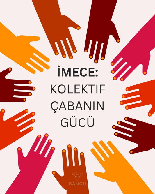 Sosyal Girişimcilik ve Türk Gelenekleri: Modern Dünyada Kadim Değerlerin Yankısı